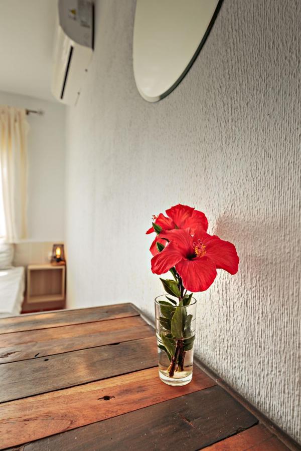 Sunny Appartement *